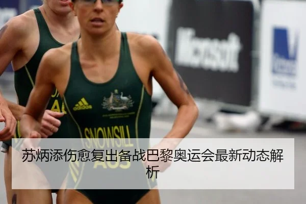 苏炳添伤愈复出备战巴黎奥运会最新动态解析